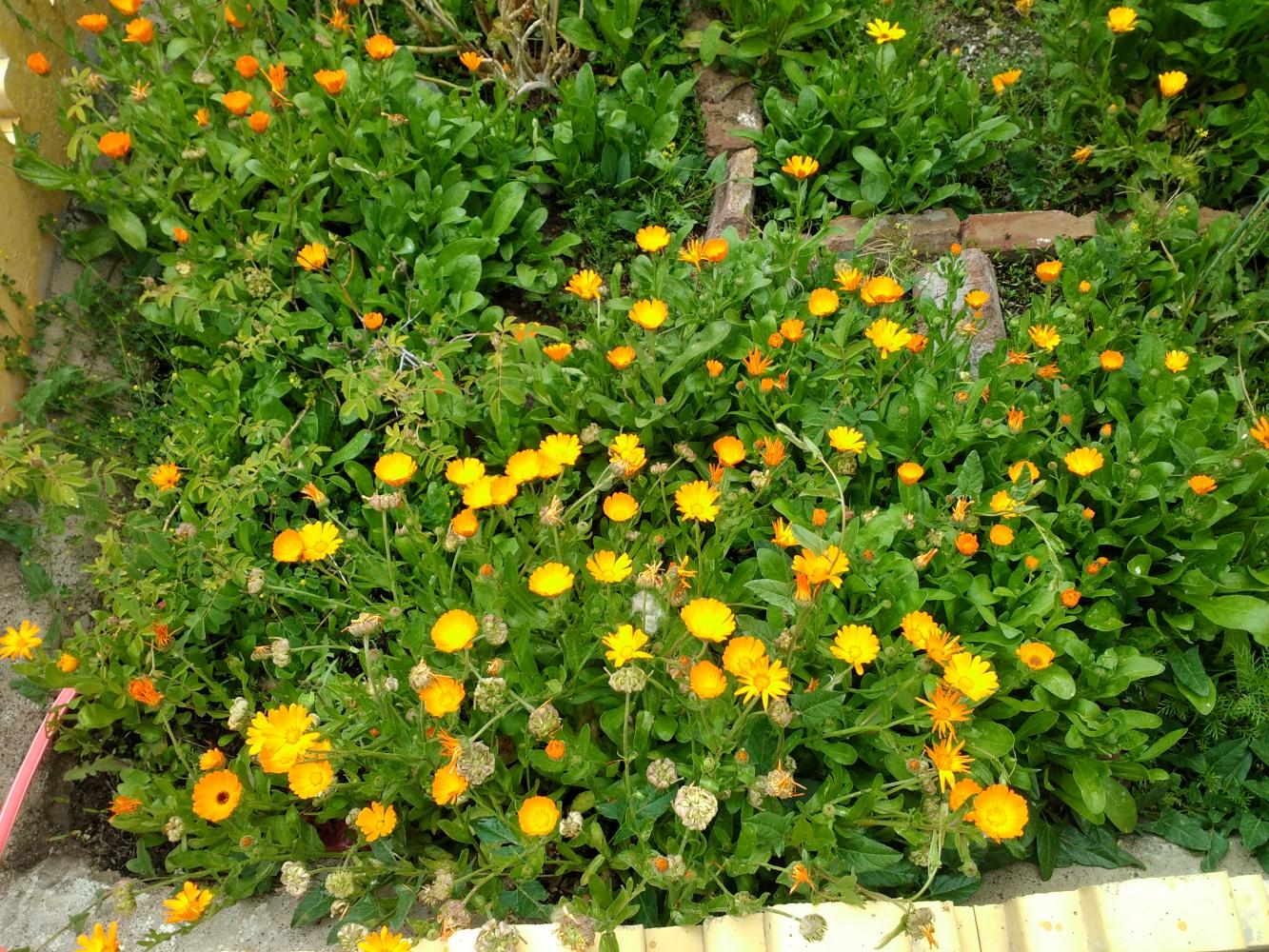 نام: IMG_۲۰۲۴۰۵۱۷_۱۳۲۳۲۵.jpg نمایش: 252 اندازه: 338.2 کیلو بایت