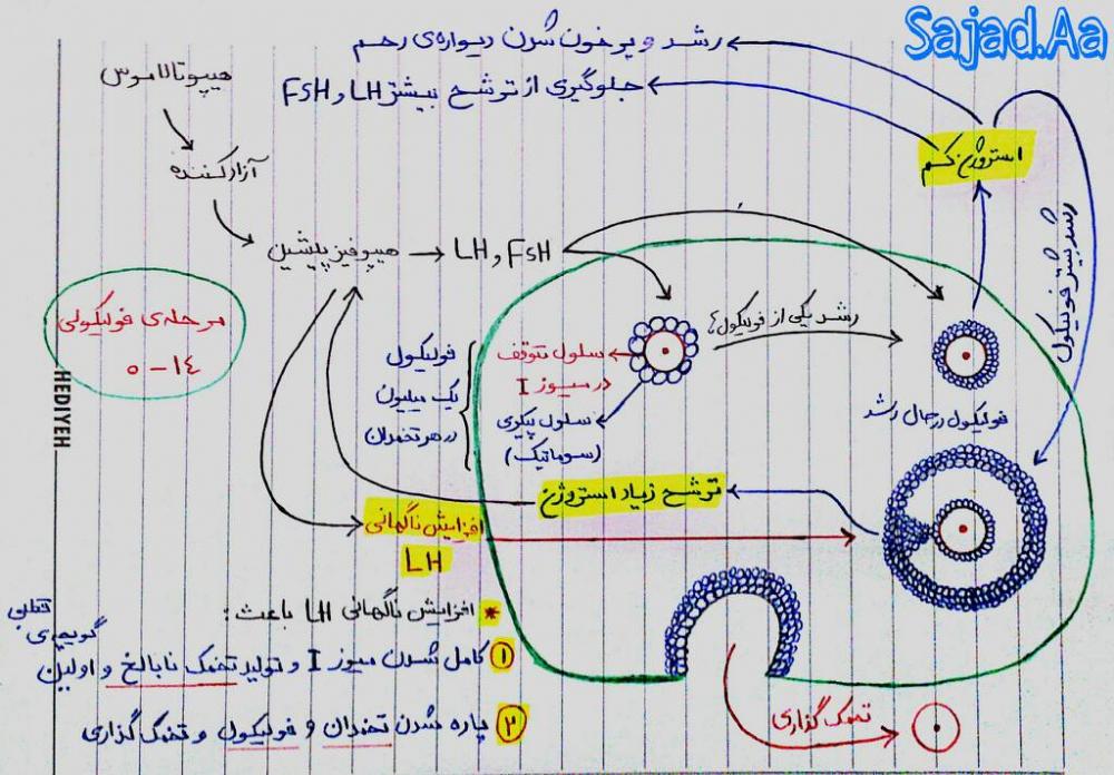 نام: a2y8azen.jpg نمایش: 295 اندازه: 111.6 کیلو بایت