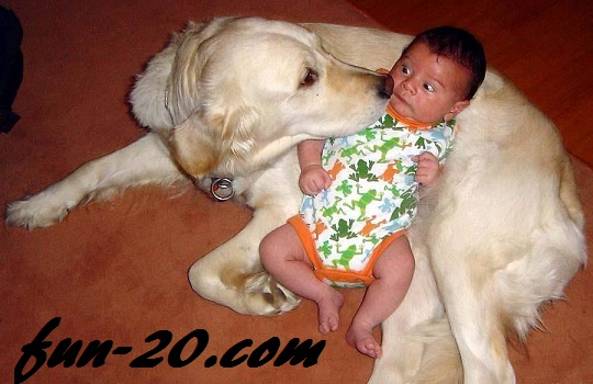 نام: nini-ba-hapu.jpg نمایش: 42 اندازه: 74.7 کیلو بایت