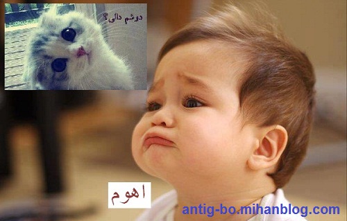 نام: 39331390520393391513.jpg نمایش: 350 اندازه: 52.6 کیلو بایت