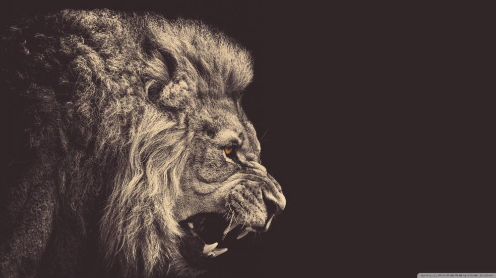 نام: roar-wallpaper-1366x768.jpg نمایش: 27 اندازه: 63.8 کیلو بایت