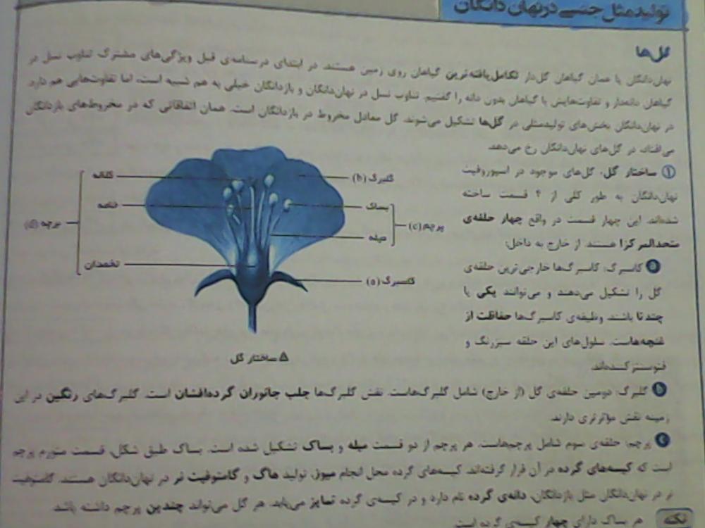 نام: IMG_۲۰۱۵۰۸۲۱_۲۳۰۴۰۹.jpg نمایش: 117 اندازه: 63.8 کیلو بایت