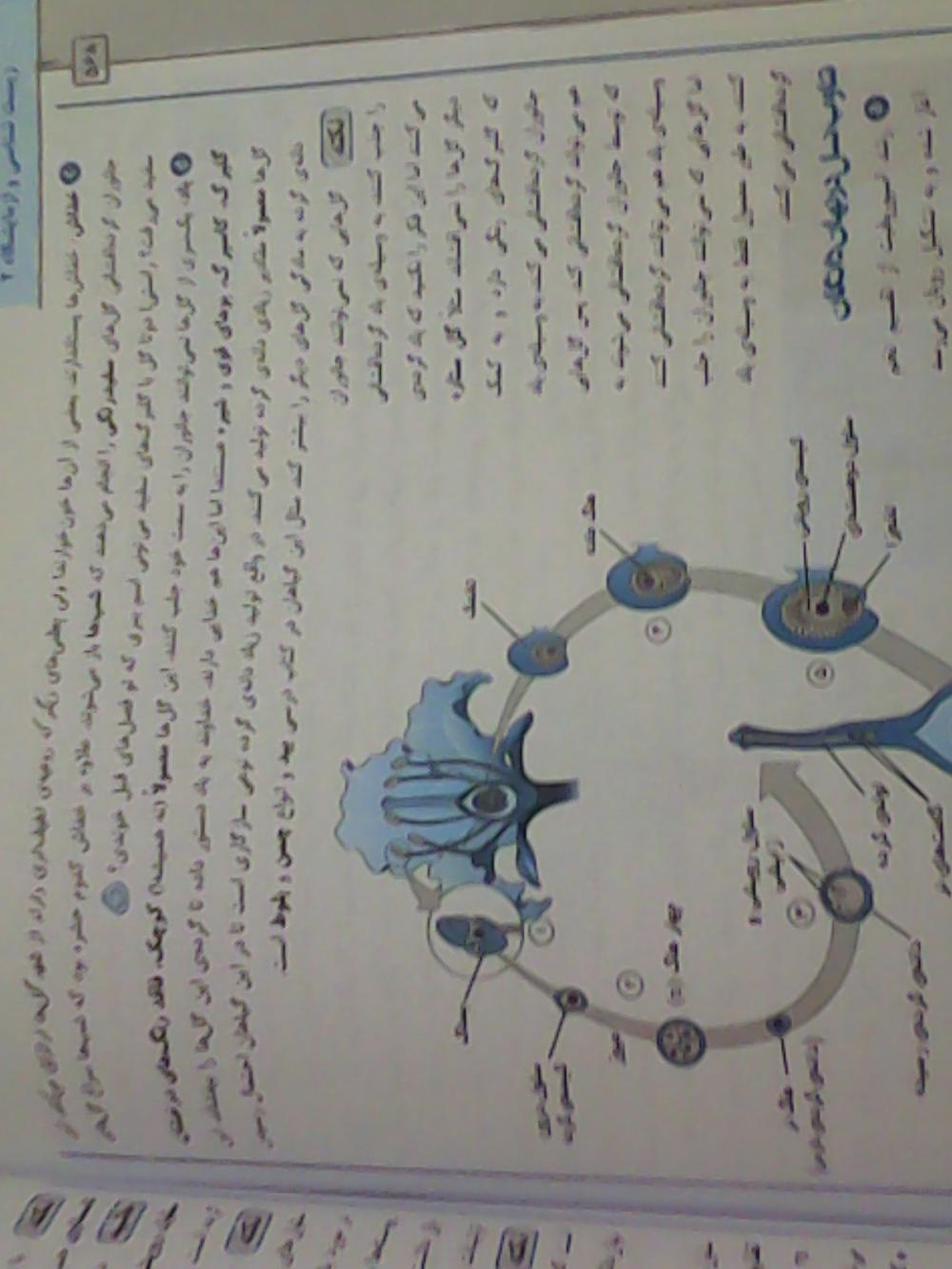 نام: IMG_۲۰۱۵۰۸۲۱_۲۳۰۴۵۹.jpg نمایش: 109 اندازه: 99.5 کیلو بایت