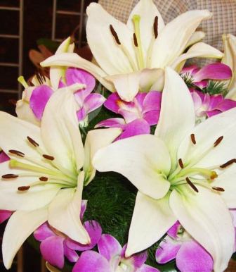 نام: 3685-9556.jpg نمایش: 38 اندازه: 25.7 کیلو بایت
