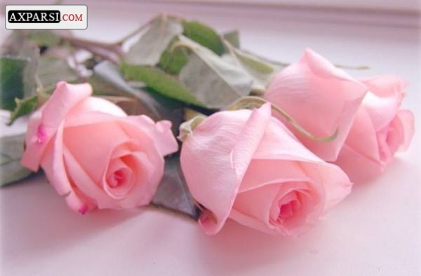 نام: axparsi32e2617d2dd1cd36c078cf6611d8f111_5-pic.jpg نمایش: 62 اندازه: 80.0 کیلو بایت