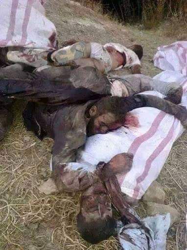 نام: IMG_20151016_173243.jpg نمایش: 48 اندازه: 43.1 کیلو بایت