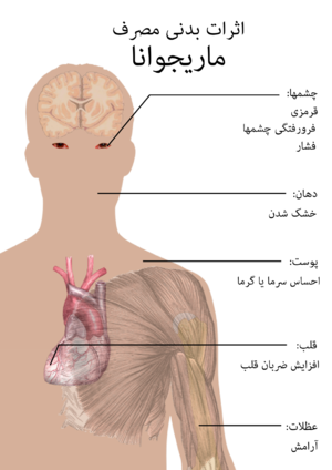 نام: 300px-Bodily_effects_of_cannabis_fa.png نمایش: 126 اندازه: 85.9 کیلو بایت