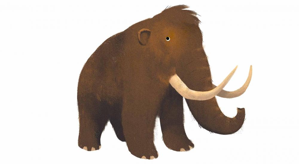 نام: woolly-mammoth.jpg نمایش: 29 اندازه: 35.6 کیلو بایت
