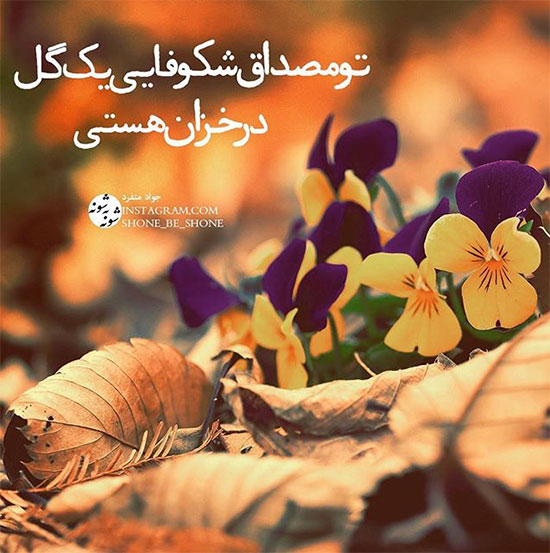 نام: 731924_332.jpg نمایش: 13 اندازه: 77.4 کیلو بایت