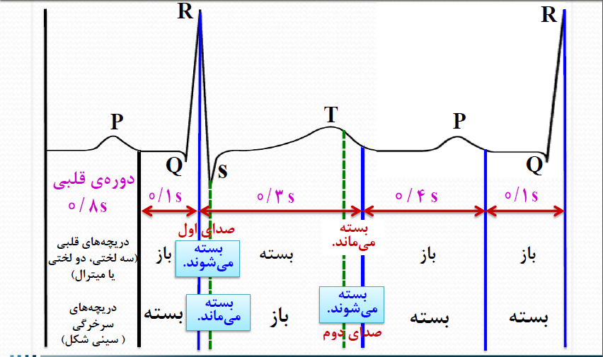 نام: 2.png نمایش: 32 اندازه: 299.4 کیلو بایت