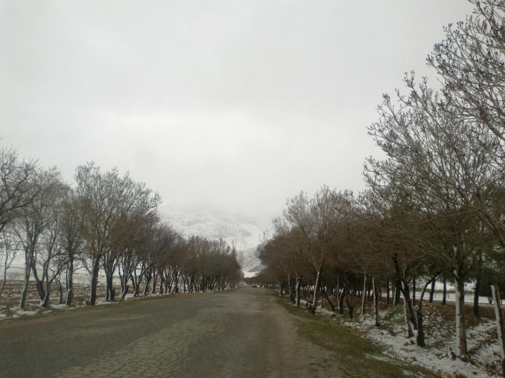 نام: 01022013306.jpg نمایش: 169 اندازه: 93.5 کیلو بایت
