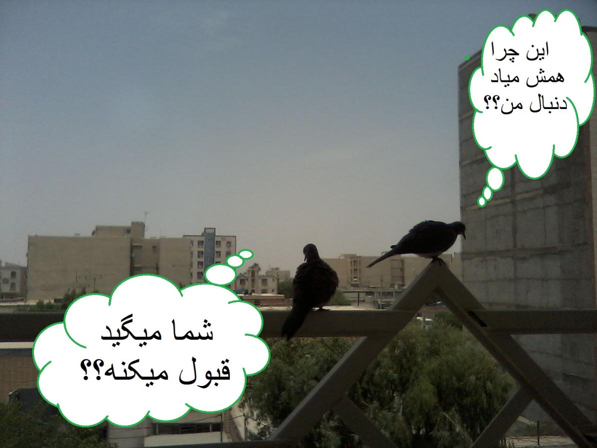 نام: P170612_1247.jpg نمایش: 160 اندازه: 82.2 کیلو بایت