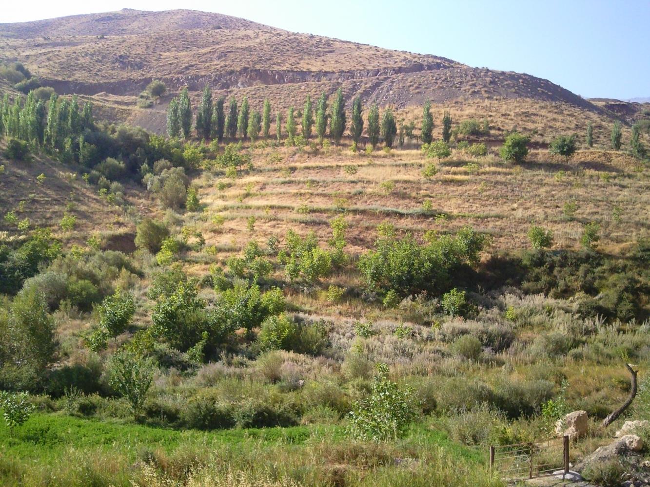 نام: Photo0043.jpg نمایش: 58 اندازه: 289.5 کیلو بایت