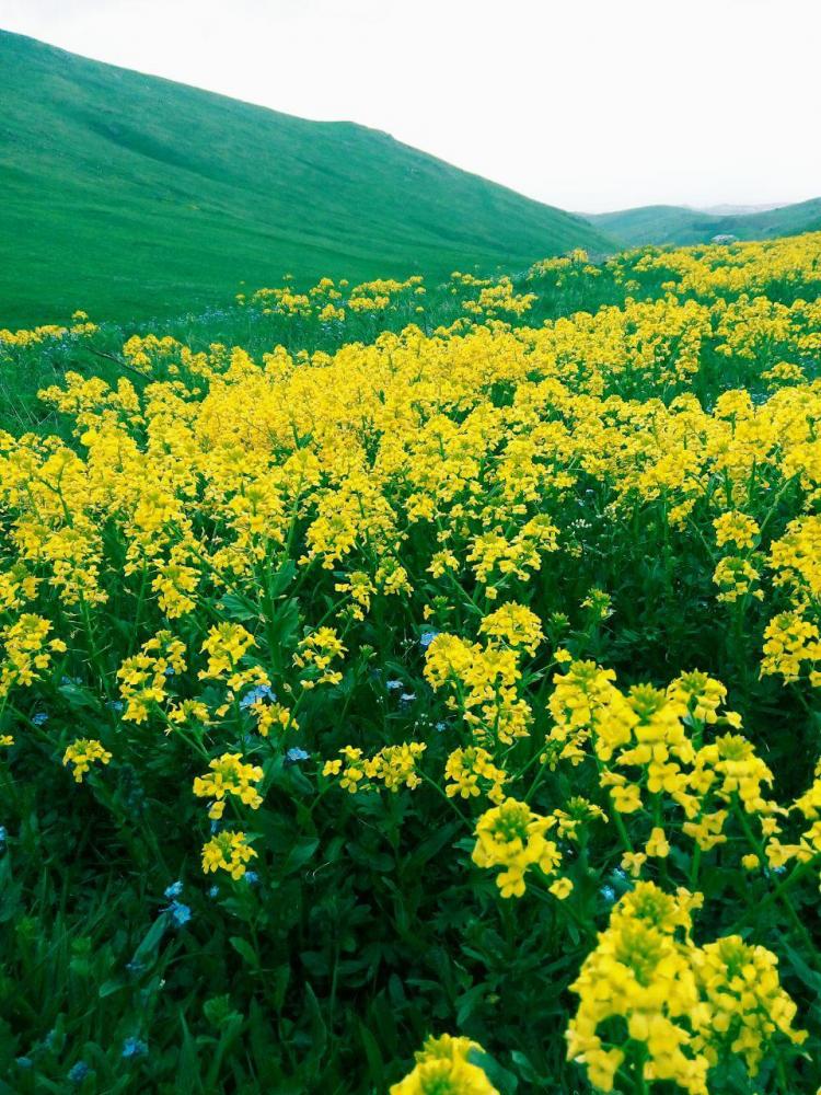 نام: photo_۲۰۱۷-۰۵-۰۷_۲۲-۱۰-۲۹.jpg نمایش: 89 اندازه: 164.5 کیلو بایت
