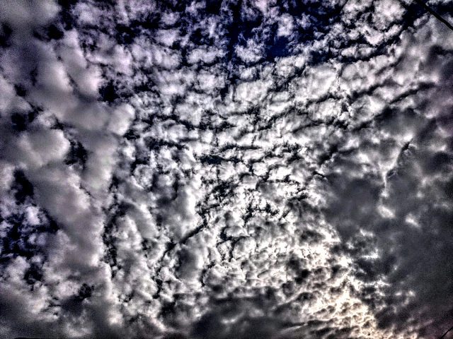 نام: 12145426_924844017552310_684550388_n(1).jpg نمایش: 161 اندازه: 90.0 کیلو بایت