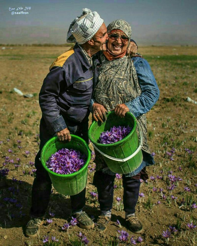 نام: photo_۲۰۱۷-۰۹-۲۶_۰۹-۱۸-۴۳.jpg نمایش: 20 اندازه: 138.7 کیلو بایت
